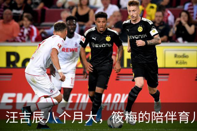 汪吉辰八个月大，筱梅的陪伴育儿之道让人心暖